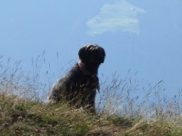 1_tag_auf_der_alp_20130217_2091698890